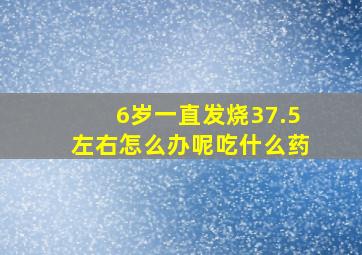 6岁一直发烧37.5左右怎么办呢吃什么药