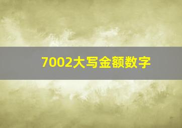 7002大写金额数字