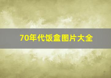 70年代饭盒图片大全