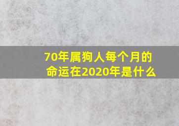 70年属狗人每个月的命运在2020年是什么