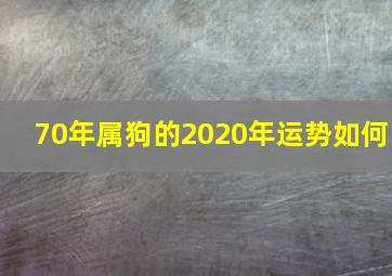 70年属狗的2020年运势如何