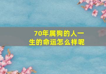 70年属狗的人一生的命运怎么样呢