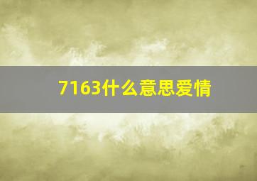 7163什么意思爱情