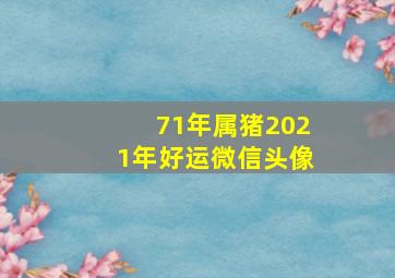 71年属猪2021年好运微信头像