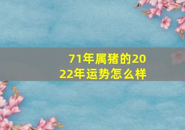 71年属猪的2022年运势怎么样