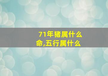 71年猪属什么命,五行属什么