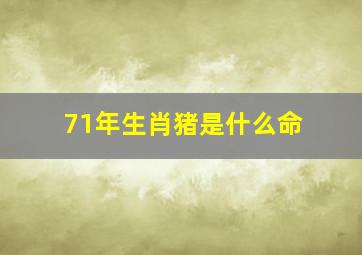 71年生肖猪是什么命