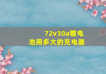 72v30a锂电池用多大的充电器