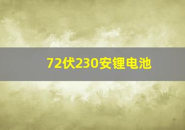 72伏230安锂电池