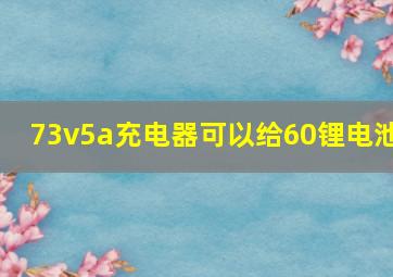 73v5a充电器可以给60锂电池