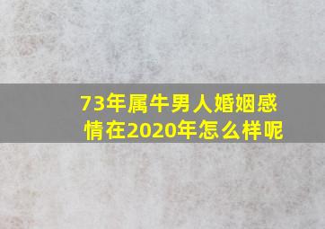 73年属牛男人婚姻感情在2020年怎么样呢