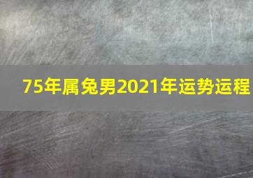 75年属兔男2021年运势运程