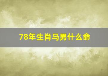 78年生肖马男什么命