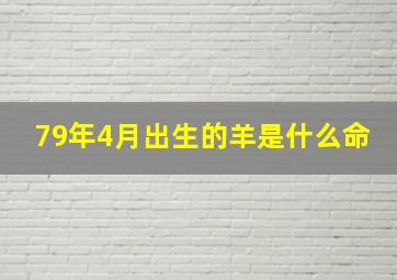 79年4月出生的羊是什么命