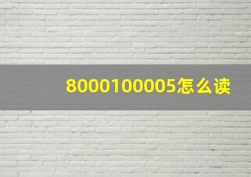 8000100005怎么读