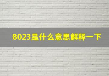 8023是什么意思解释一下