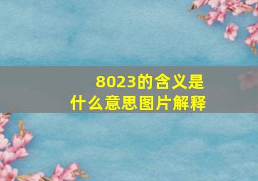 8023的含义是什么意思图片解释