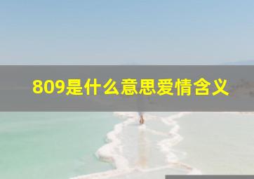 809是什么意思爱情含义