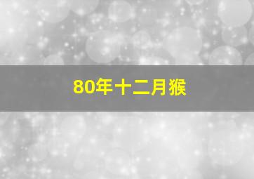 80年十二月猴