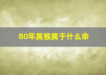 80年属猴属于什么命