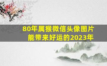 80年属猴微信头像图片能带来好运的2023年