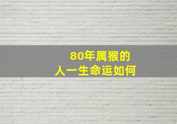 80年属猴的人一生命运如何