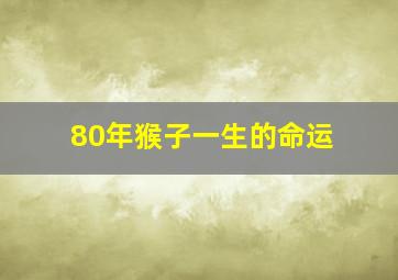 80年猴子一生的命运