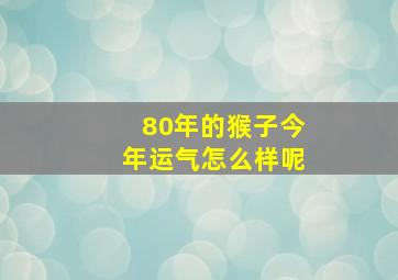 80年的猴子今年运气怎么样呢