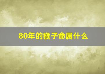 80年的猴子命属什么