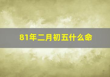 81年二月初五什么命