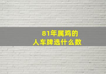 81年属鸡的人车牌选什么数