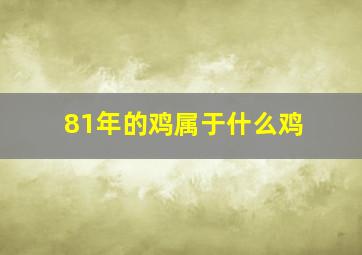 81年的鸡属于什么鸡