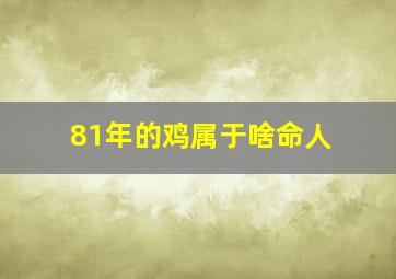 81年的鸡属于啥命人