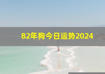 82年狗今日运势2024