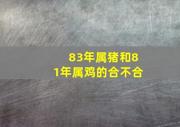 83年属猪和81年属鸡的合不合