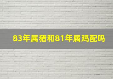 83年属猪和81年属鸡配吗