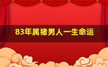 83年属猪男人一生命运