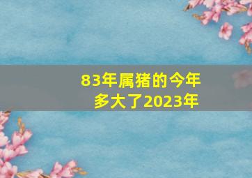 83年属猪的今年多大了2023年