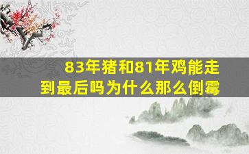 83年猪和81年鸡能走到最后吗为什么那么倒霉