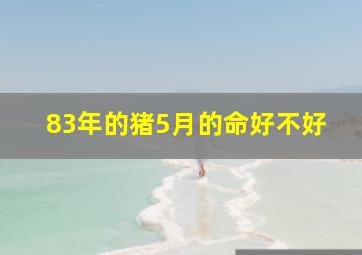 83年的猪5月的命好不好