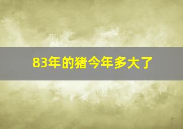 83年的猪今年多大了