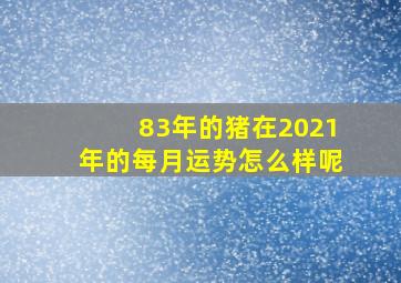 83年的猪在2021年的每月运势怎么样呢