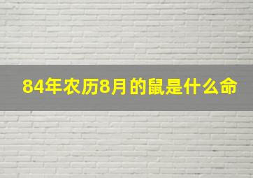 84年农历8月的鼠是什么命