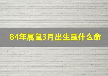 84年属鼠3月出生是什么命