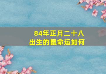 84年正月二十八出生的鼠命运如何