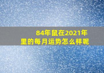 84年鼠在2021年里的每月运势怎么样呢