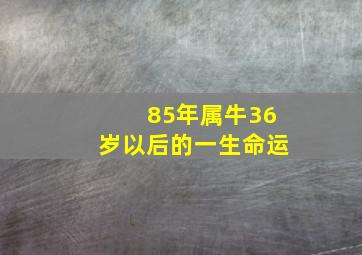 85年属牛36岁以后的一生命运