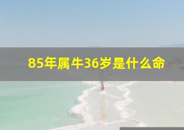 85年属牛36岁是什么命