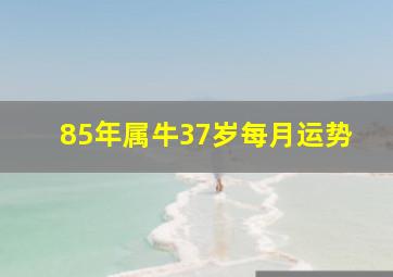 85年属牛37岁每月运势