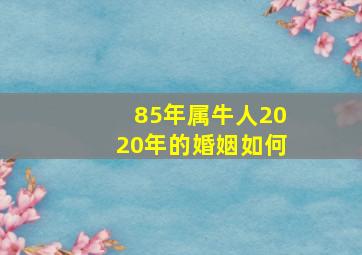 85年属牛人2020年的婚姻如何